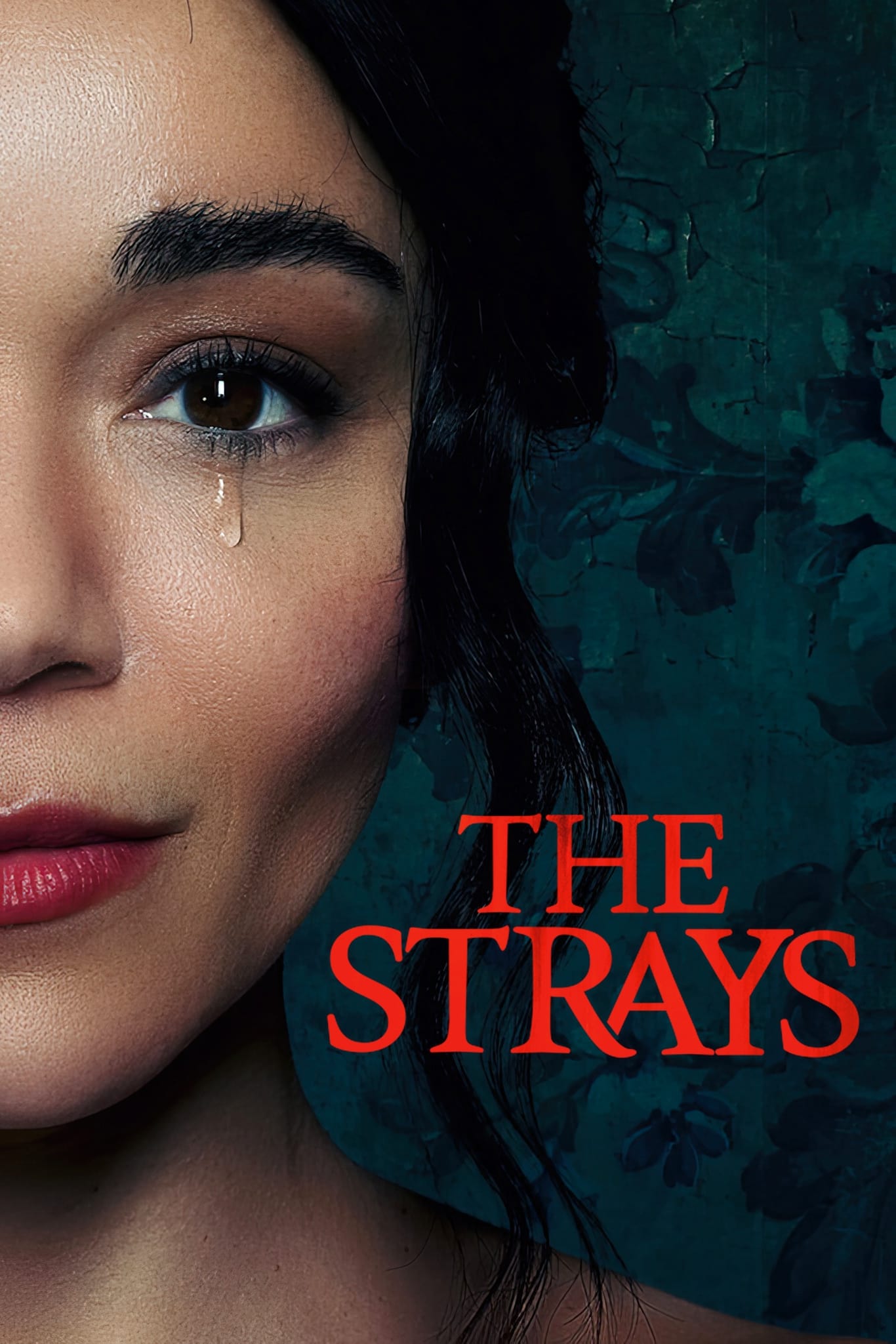 The Strays Hindi Dubbed Movie Poster (2023)