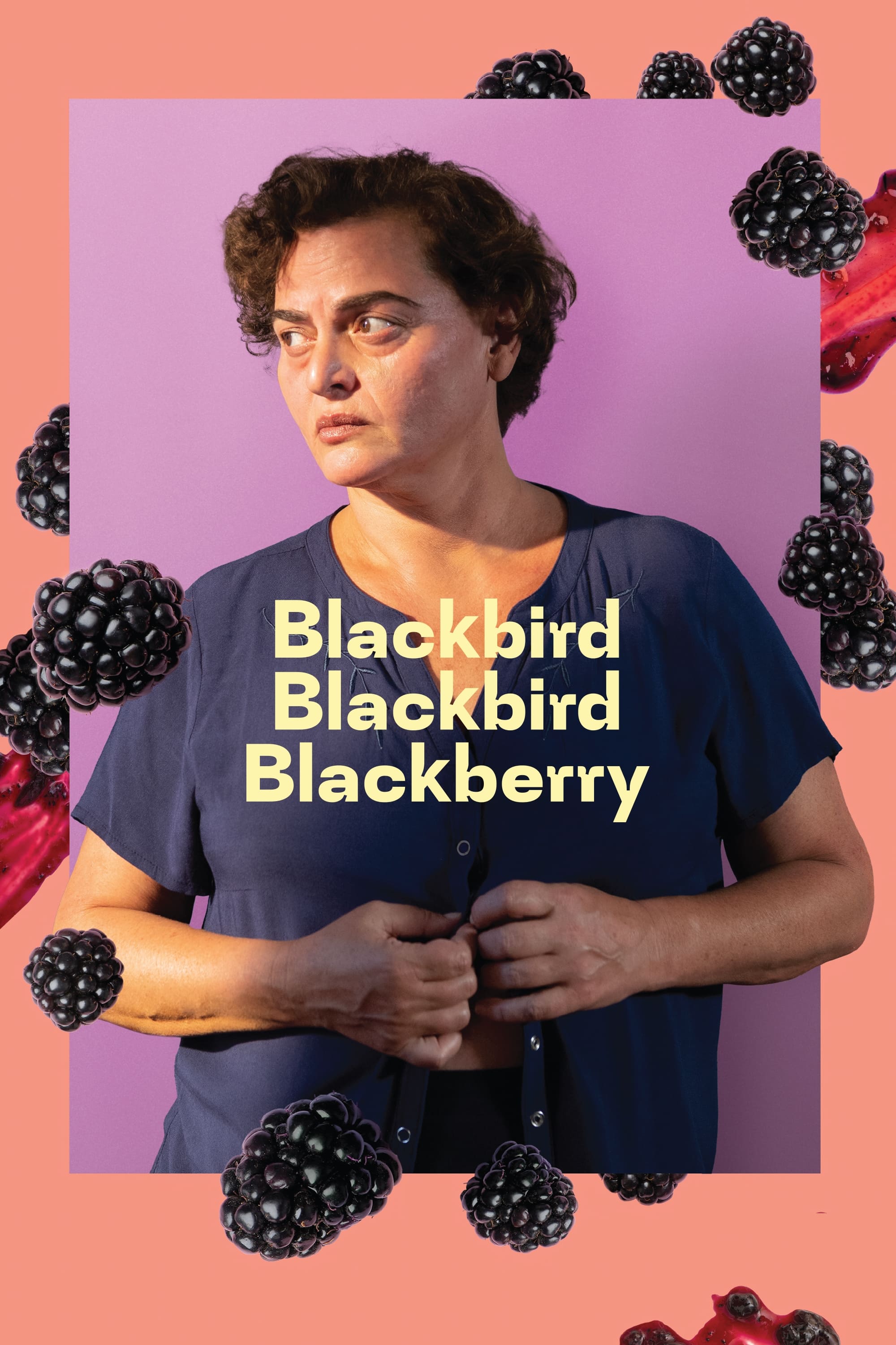 Blackbird Blackbird Blackberry Hindi Dubbed Movie Poster (2023)