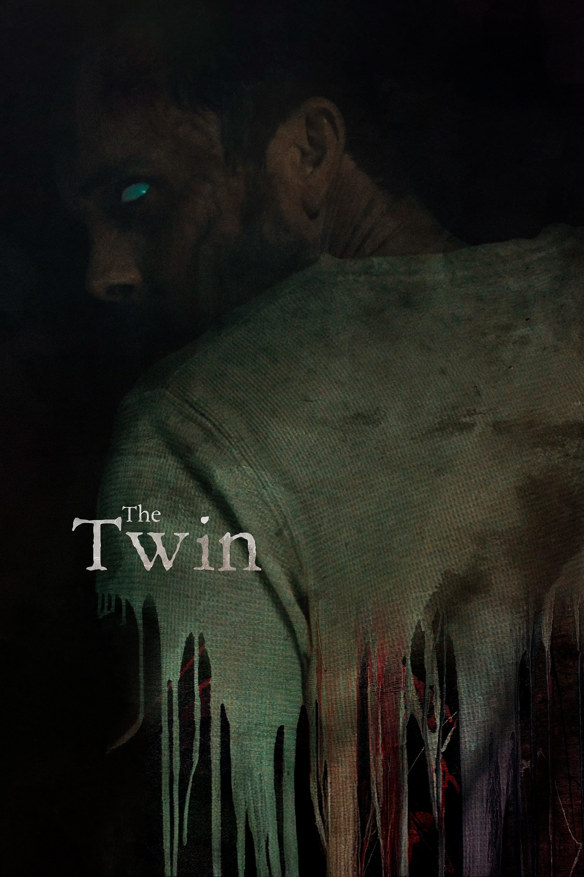The Twin Hindi Dubbed Movie Poster (2024)